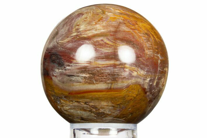 Colorful Petrified Wood (Araucaria) Sphere - Madagascar #323608